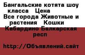 Бангальские котята шоу класса › Цена ­ 25 000 - Все города Животные и растения » Кошки   . Кабардино-Балкарская респ.